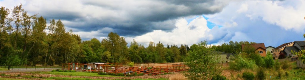 Cordata Community Garden