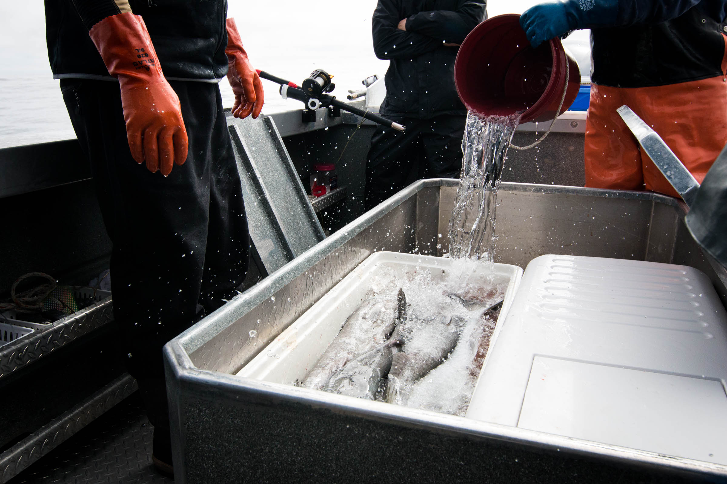 Alaska.Fishing-4115