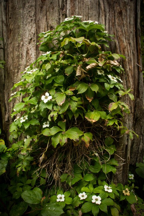 Sacred.Repetition-9791