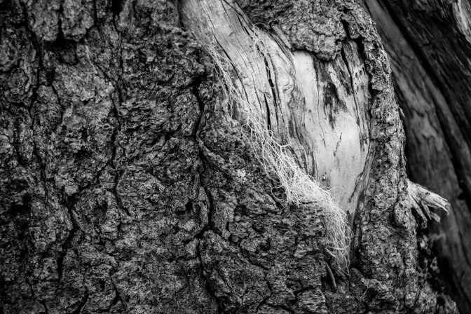 Sacred.Repetition-9937