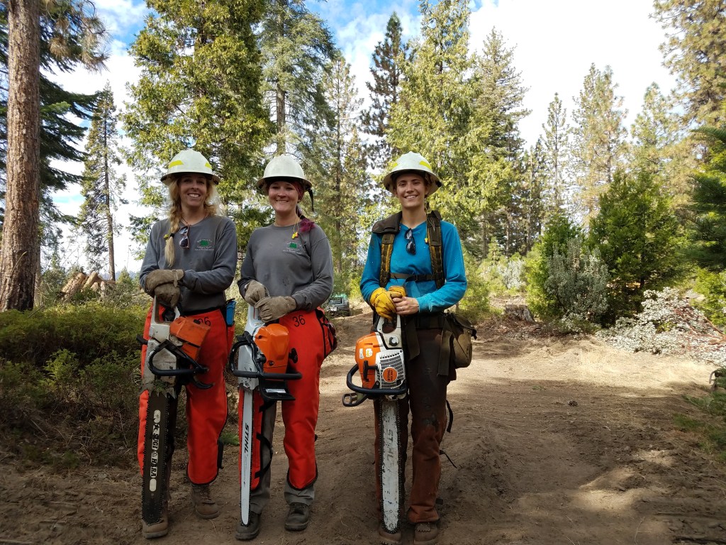 Spotlight on Silviculture
