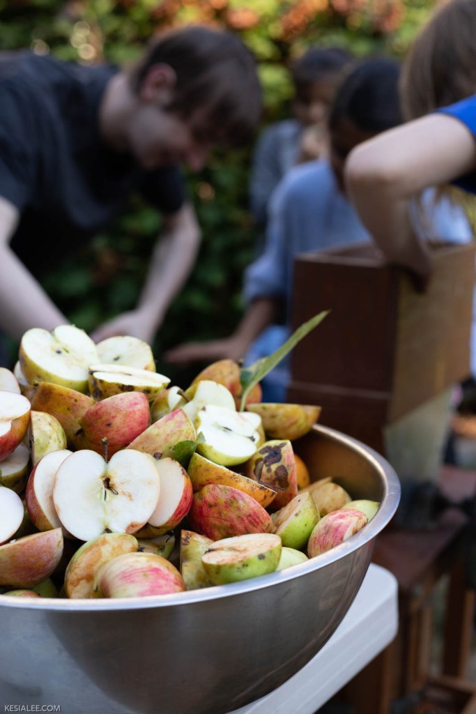 A large metal bowl full of sliced apples. In the background a group of people bend over a cider press. 