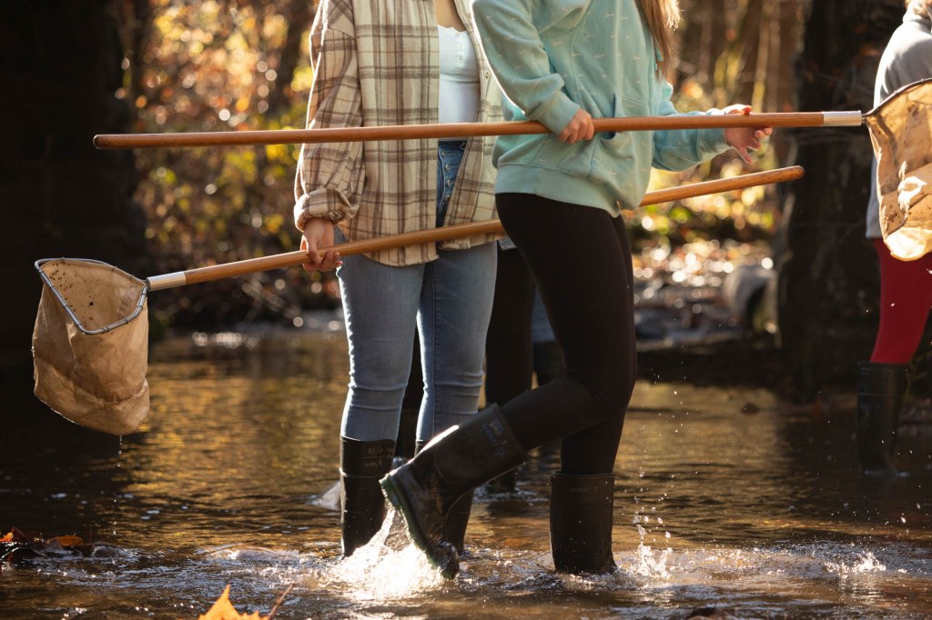 Several teenagers in warm fall layers splash through a shallow creek while holding nets on long polls.
